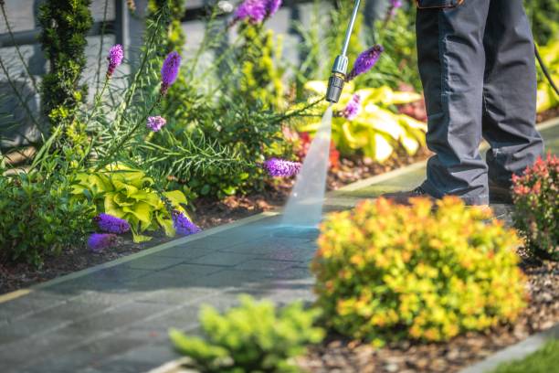 Best Building Exterior Pressure Washing in East Prairie, MO