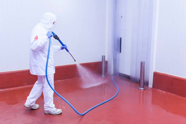 Best Soft Washing for Delicate Surfaces in East Prairie, MO